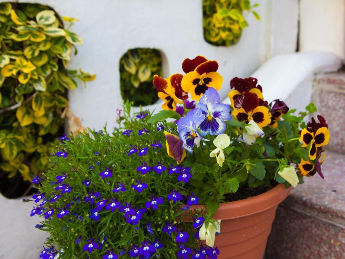 The Heidi Bed & Breakfast Southport Exteriör bild